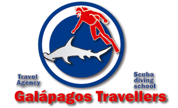buzologo2016