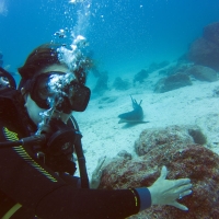 Galapagos Travelers   27092019 19