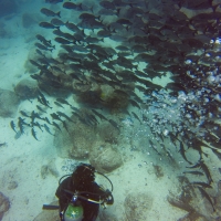 Galapagos Travelers   27092019 25