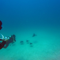 Galapagos Travelers   27092019 3