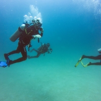 Galapagos Travelers   27092019 9